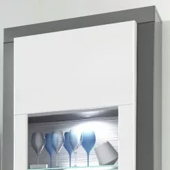 Curlewi Vitrine Murale Anthracite Brillant Loftscape Blanc -Armoires Soldes 1000171309 210930 134153000038 DETAILS P000000001000171309