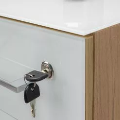 Imitation 25 Imitation -Armoires Soldes 1000189529 220209 12431800040 DETAILS P000000001000189529