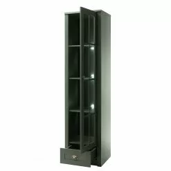 Ridgevalley Vitrine Beauville I - Vert mousse / Doré -Armoires Soldes 1000196320 191127 09002800024 DETAILS P000000001000196320