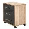 Furnitive Brillant Anthracite Imitation Sonoma -Armoires Soldes 1000259423 210511 10252800006 IMAGE P000000001000259423
