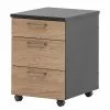 Cookley Furnitive Chêne Imitation Anthracite -Armoires Soldes 1000296209 210927 08194500025 IMAGE P000000001000296209