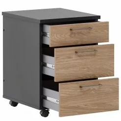 Cookley Furnitive Chêne Imitation Anthracite -Armoires Soldes 1000296209 210927 08194500059 DETAILS P000000001000296209