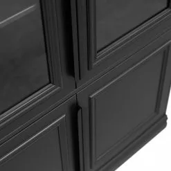 Pin Vitrine Living Massif Noir Shady Red -Armoires Soldes 1000342119 220401 060 DETAILS P000000001000342119