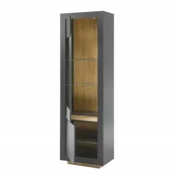 Vitrine Imitation Chêne Anthracite Loftscape Accra -Armoires Soldes 1000348816 220506 031 DETAILS P000000001000348816